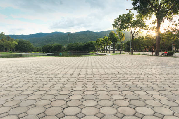 Best Driveway Paver Repairs and Restoration in USA